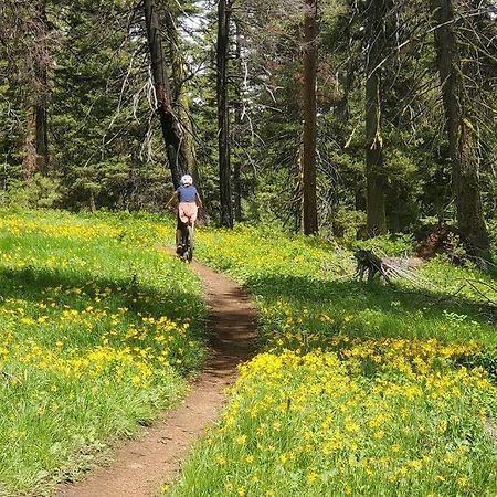 Mccall Mountain Getaway - Pet Friendly Exterior photo