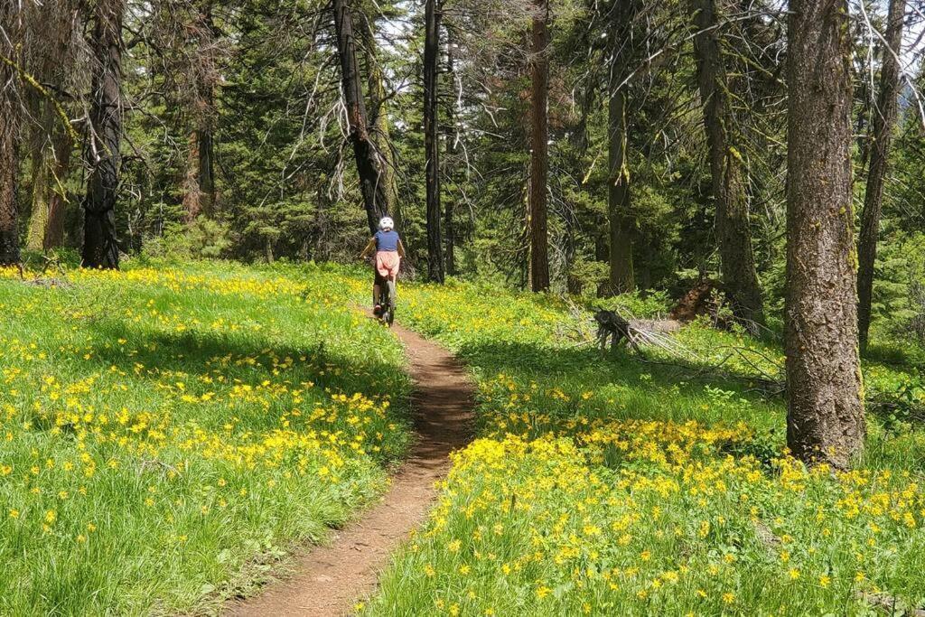 Mccall Mountain Getaway - Pet Friendly Exterior photo